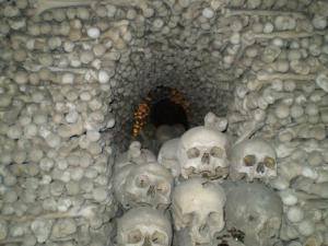 ???????????????????????????????